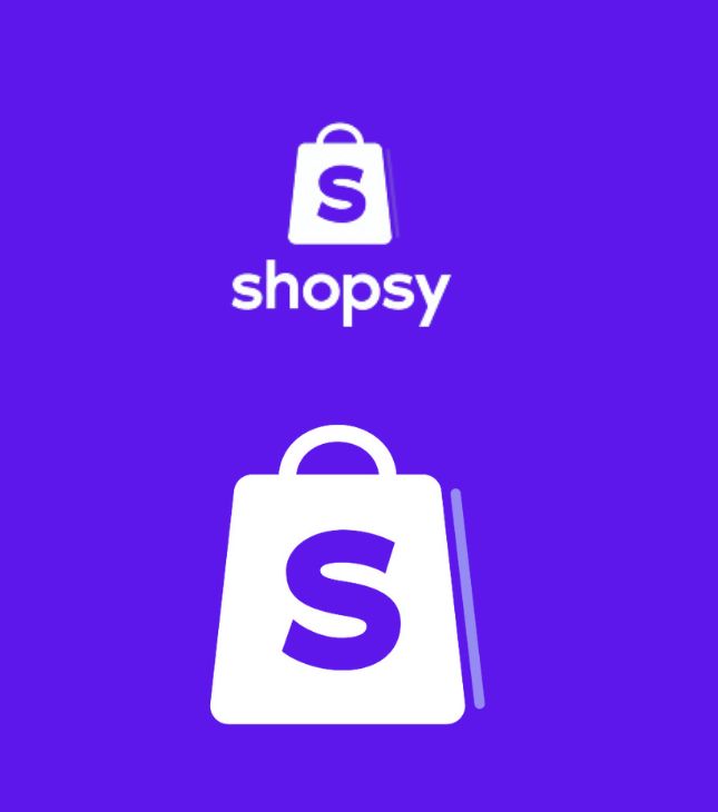 The Success Story of a Shopsy Seller in 2023